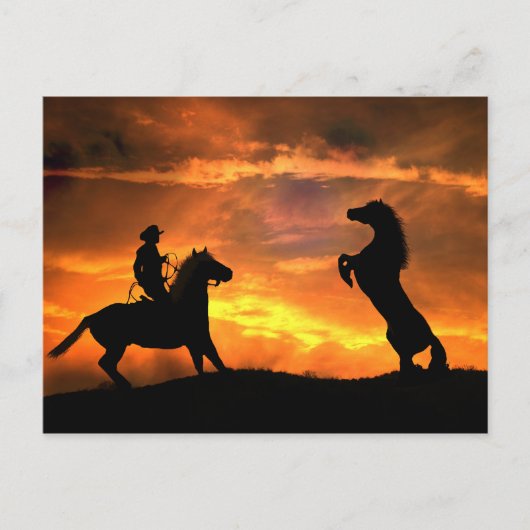 Land van de cowboy- en wilde-paardenfokkerij Weste Briefkaart (Voorkant)