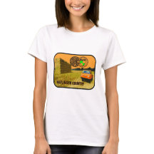 land van de Haflinger