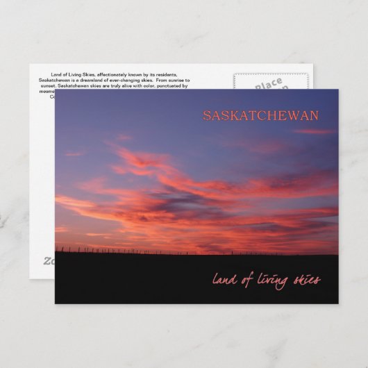 Land van de levende Kaart (Voorkant / Achterkant)