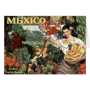 Land van de Tropische Splendor