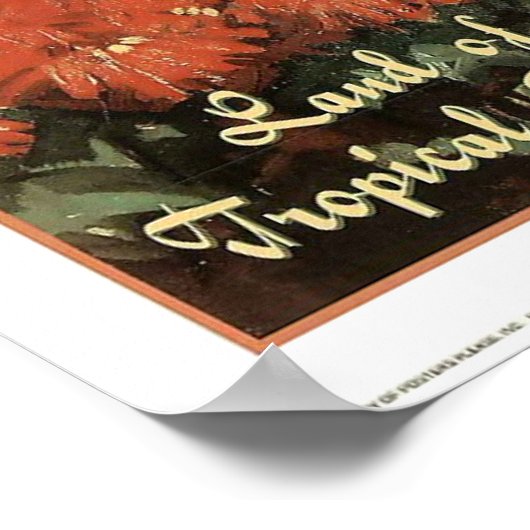 Land van de Tropische Splendor Poster (Hoek)