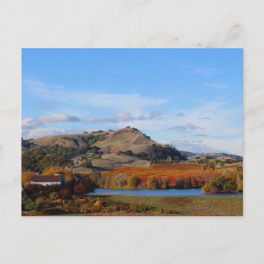 Land van de vallei van Napa in de Herfst Briefkaart (Voorkant)