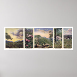 Land van het Poster Sky 1917