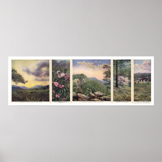 Land van het Poster Sky 1917 (Voorkant)