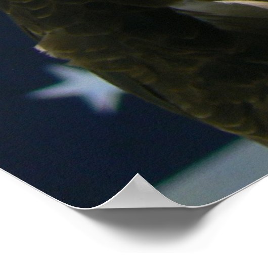 Land van het vrije Poster (Hoek)