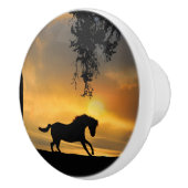 Land van het zuidoostelijke galoping-paard keramische knop (Rechts)