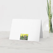 Land van Shroom - Gelukkige Verjaardag! Kaart (Achterkant)