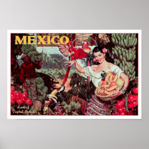 LAND VAN TROPISCHE SPLENDOR MEXICO c. 1950 Poster