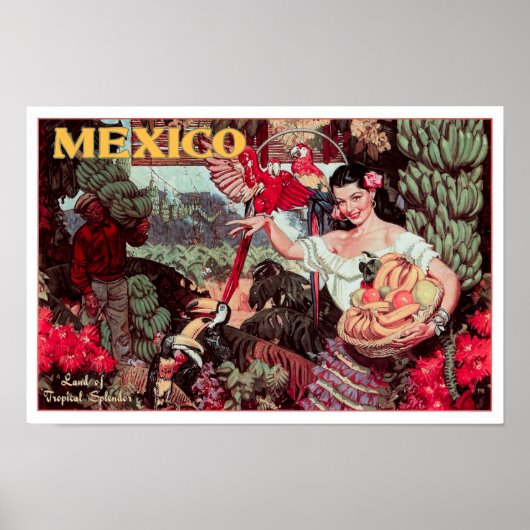 LAND VAN TROPISCHE SPLENDOR MEXICO c. 1950 Poster (Voorkant)