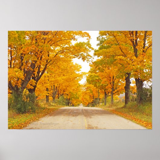 "LAND WEG IN VERBAND MET MARIGOLD-COLORED TREES" POSTER (Voorkant)