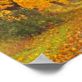 "LAND WEG IN VERBAND MET MARIGOLD-COLORED TREES" POSTER (Hoek)