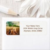 Land Welsh Corgis Etiket (Insitu)