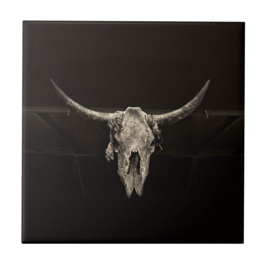 Land Western Bull Skull Rustic  Antiek Tegeltje (Voorkant)