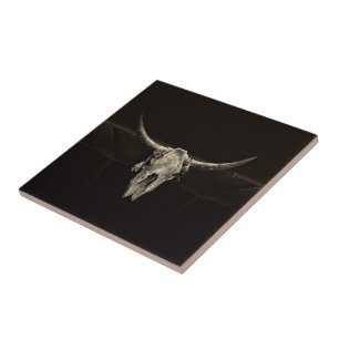 Land Western Bull Skull Rustic Antiek Tegeltje