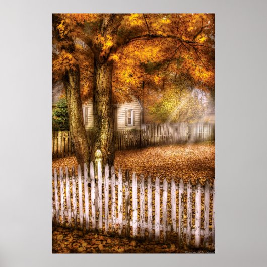 Land - Witte Paling Poster (Voorkant)