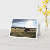 Land zonsopgang landschap kaart (Gele Bloem)