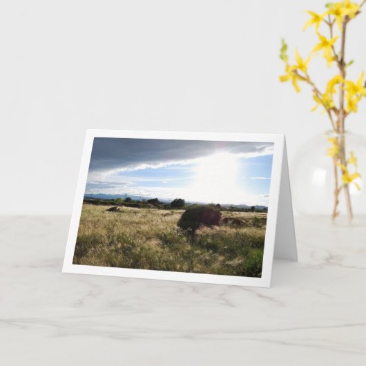 Land zonsopgang landschap kaart (Gele Bloem)