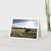 Land zonsopgang landschap kaart (Voorkant)