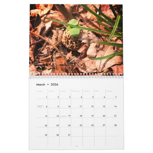 Landagenda boerderij kalender (Mar 2026)