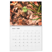Landagenda boerderij kalender (Mar 2027)
