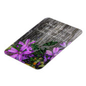 Landbloemen in Oostenrijk aan boord Magneet (Linkerzijde)