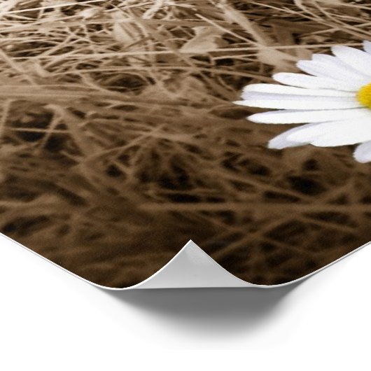 Landbloemen Poster (Hoek)