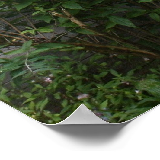 Landbloemen Poster (Hoek)