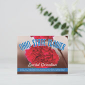 Landbloemkool Ohio de Scarlet-anjer Briefkaart (Staand voorkant)