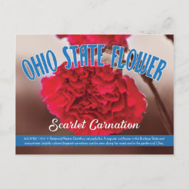 Landbloemkool Ohio de Scarlet-anjer Briefkaart