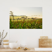 Landbouw Brazilië Poster (Keuken)