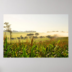 Landbouw Brazilië Poster