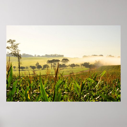Landbouw Brazilië Poster (Voorkant)