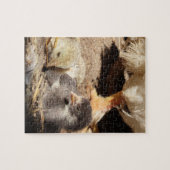 landbouw, dier, kunst, baby, snavel, vogel, legpuzzel (Horizontaal)