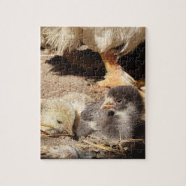 landbouw, dier, kunst, baby, snavel, vogel, legpuzzel