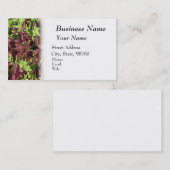 Landbouw en veeteelt visitekaartje (Voorkant / Achterkant)