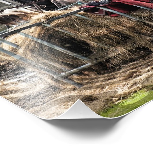 LANDBOUW FOTO AFDRUK (Hoek)