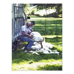 LANDBOUW FOTO AFDRUK