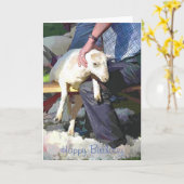 LANDBOUW KAART (Gele Bloem)