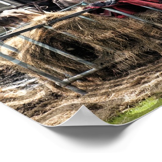 LANDBOUW POSTER (Hoek)