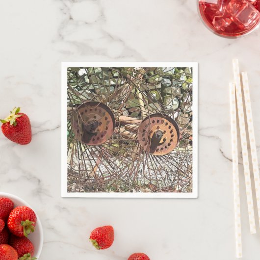 LANDBOUW SERVETTEN (Insitu)