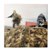 LANDBOUW TEGELTJE (Voorkant)