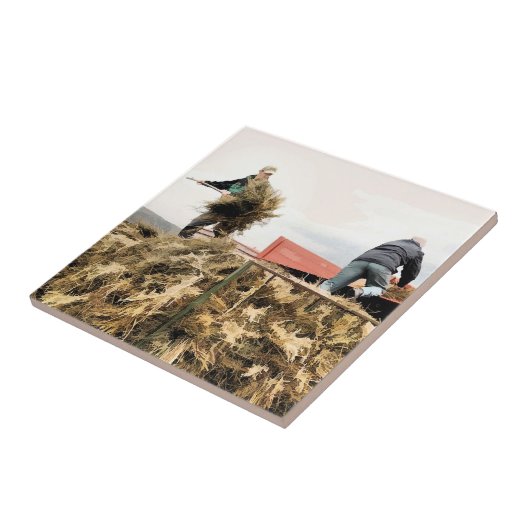 LANDBOUW TEGELTJE (Zijkant)