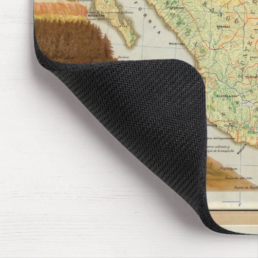 Landbouw van Mexico Muismat (Hoek)