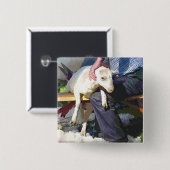 LANDBOUW VIERKANTE BUTTON 5,1 CM (Voorkant /achterkant)