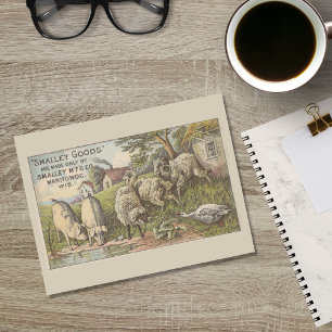Landbouwdieren Adverteren Ephemera Briefkaart