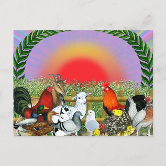Landbouwdieren Briefkaart (Voorkant)