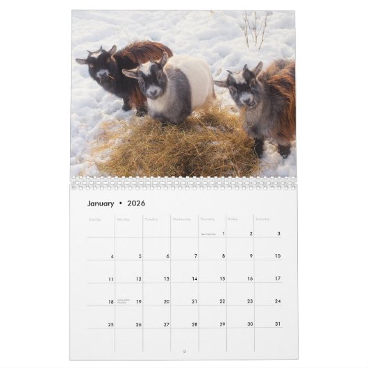Landbouwdieren Kalender (Jan 2026)