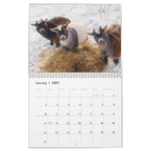 Landbouwdieren Kalender (Jan 2027)