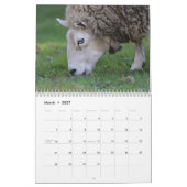 Landbouwdieren Kalender (Mar 2027)
