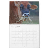 Landbouwdieren Kalender (Feb 2027)